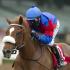 2020 Preakness: Swiss Skydiver Wins Preakness by a Nose in Photo Finish